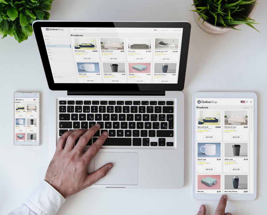web-actualizada